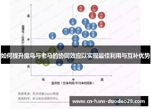 如何提升魔鸟与老马的协同效应以实现最佳利用与互补优势